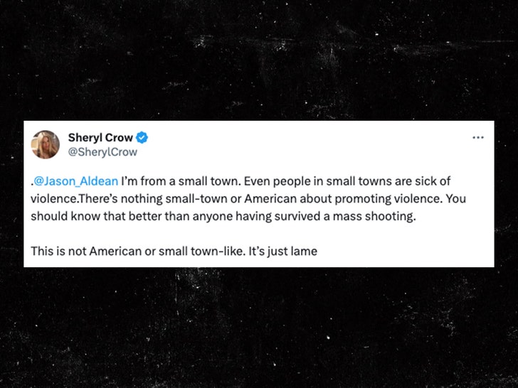 5b6b1fc23a2d4576b88c3f1b606d7823_md sherly crow