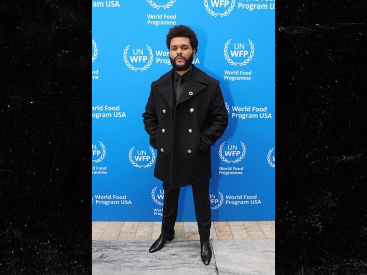 the weeknd provides meals to people in gaza wfp org 2