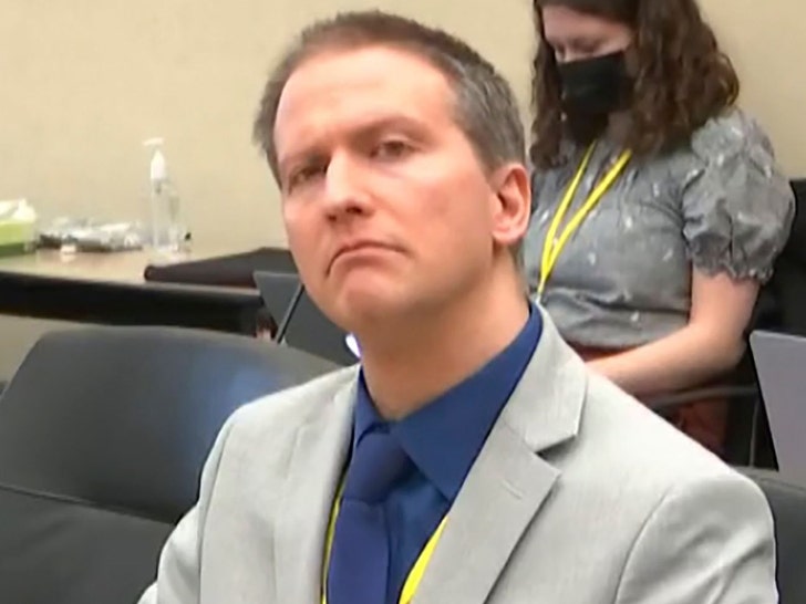 Derek Chauvin shutterstock 1