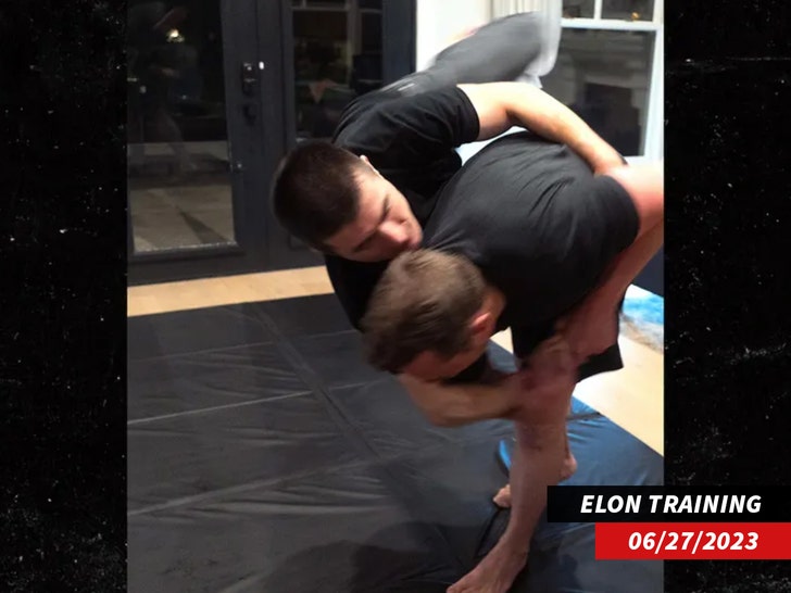 elon musk training no credit 1