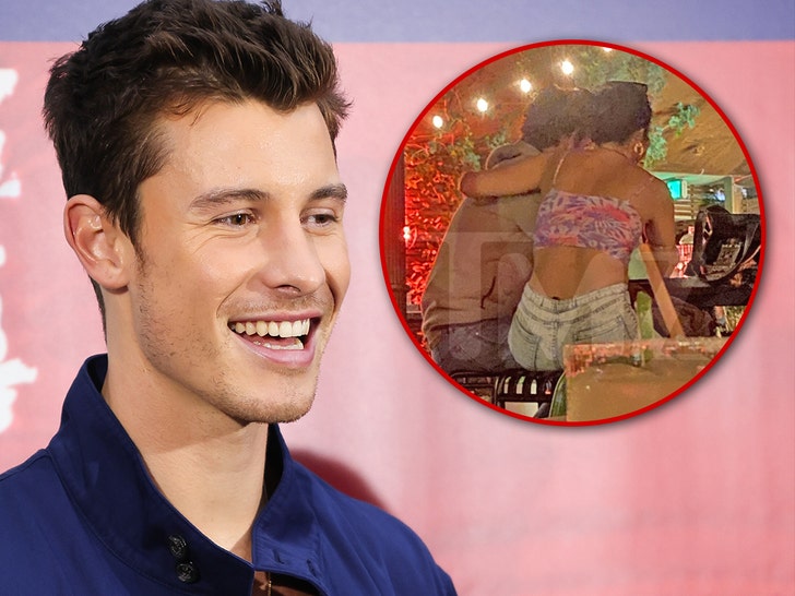 Shawn Mendes getty tmz 1