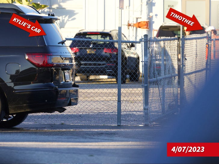 Kylie Jenner And Timothee Chalamet Grab Tacos Together