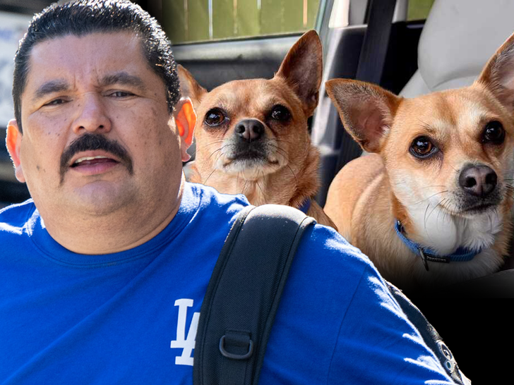 61c1d3985ecd488fb7c76c141661fc7b_md guillermo rodriguez with the dogs main