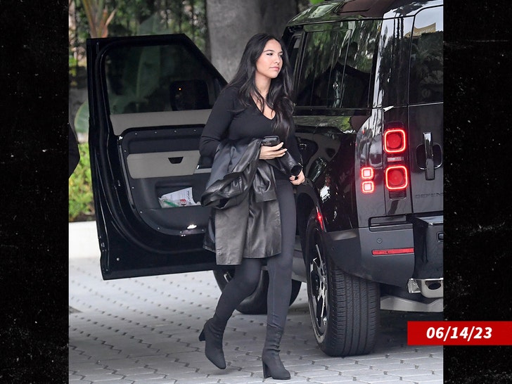 al pacino Noor Alfallah