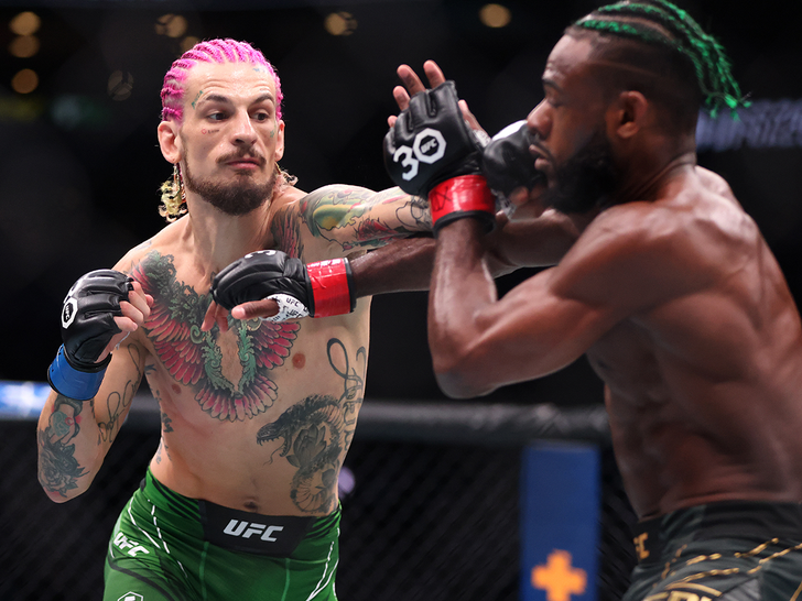 Sean O'Malley punches Aljamain Sterling