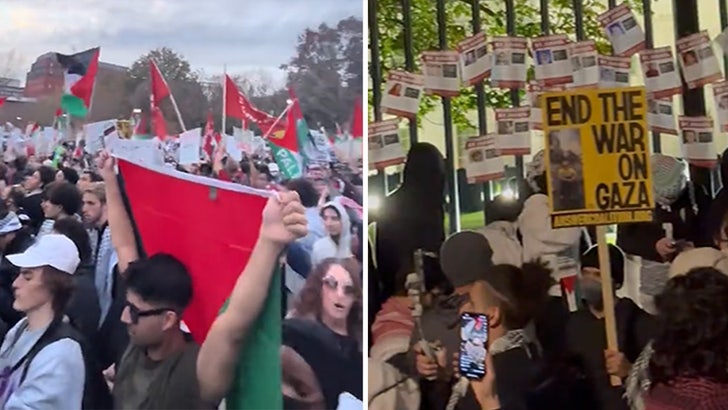 110523_protesters_outside_whitehouse-kal2