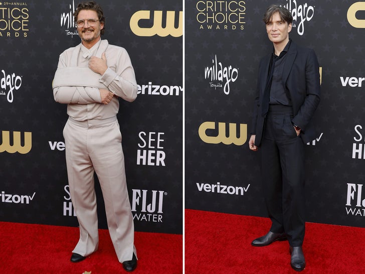 65d885a439754850ab490ae424e39177_md 0114-critics-choice-awards-arrivals-fashion-photos-primary-2