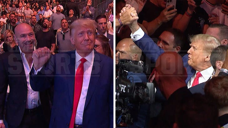 071123-donald-trump-ufc-290-kal-wm