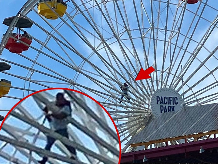 1009 ferris wheel guy santa monica 2