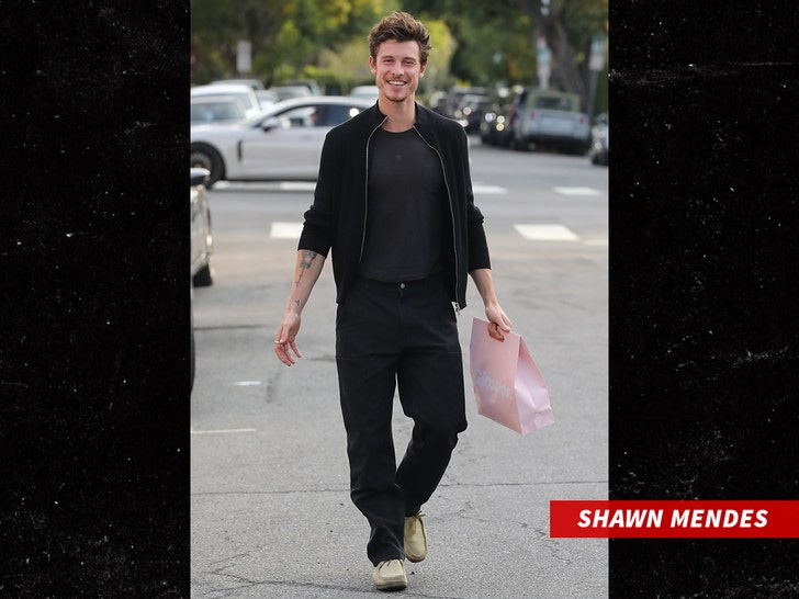 67962c68ba594762b416c05e98d35c5a_md SHAWN MENDES