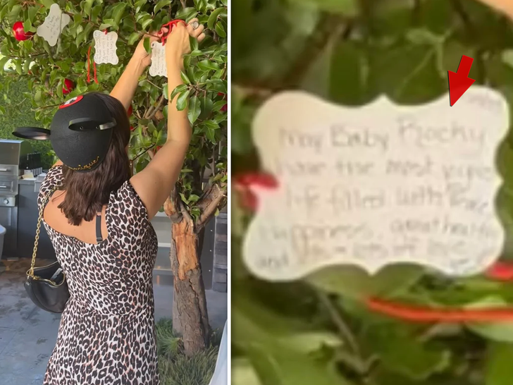 rocky name - Kourtney Kardashian's Disneyland