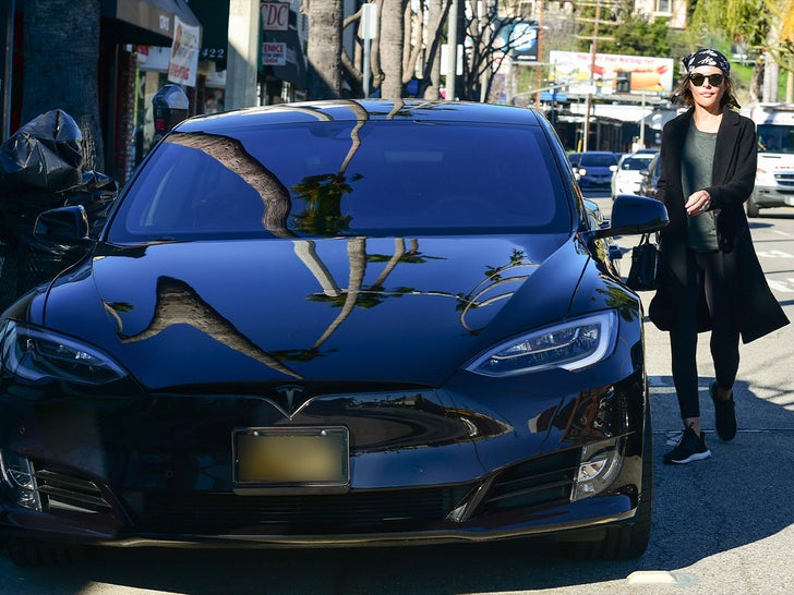 Stars With Teslas