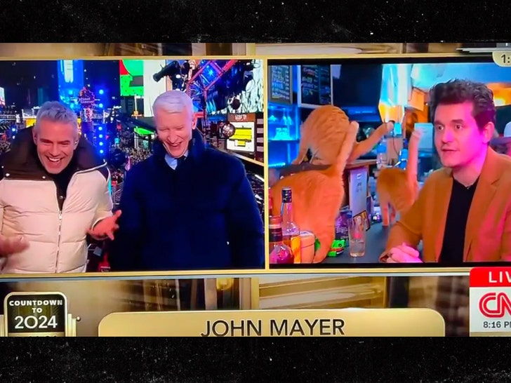 0101 john mayer cat cafe