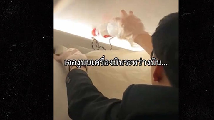 011724_snake_plane-KALV2