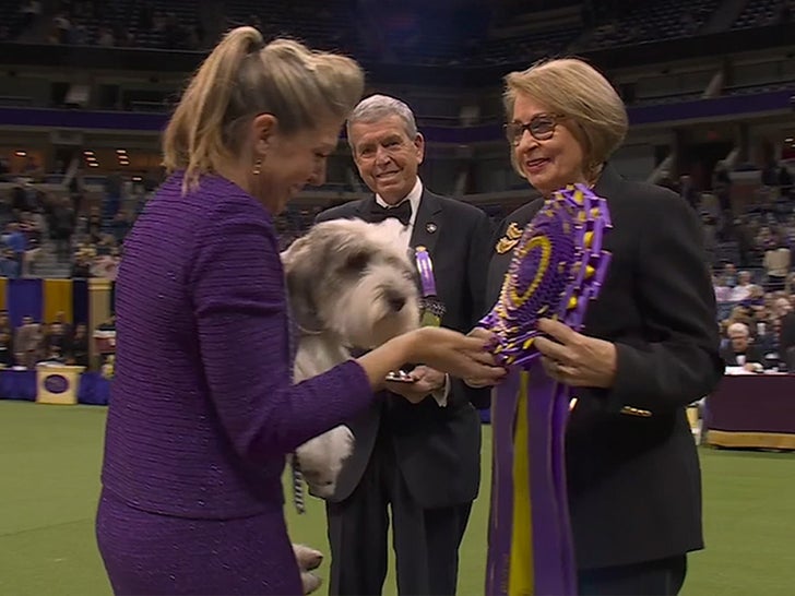 051023-best-in-show-buddyholly-primary-v3