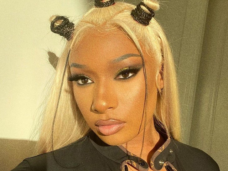 megan the stallion insta