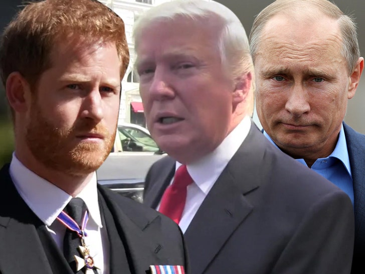 harry trump putin getty tmz