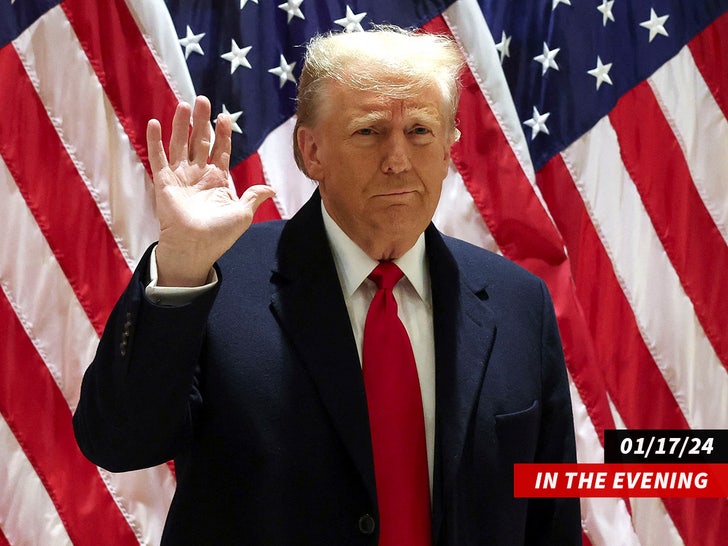 745bb32727fd403fb92154d6fc58ba43_md trump hand 2