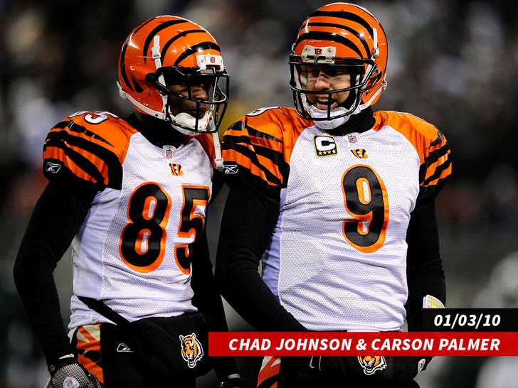 chad johnson carson palmer