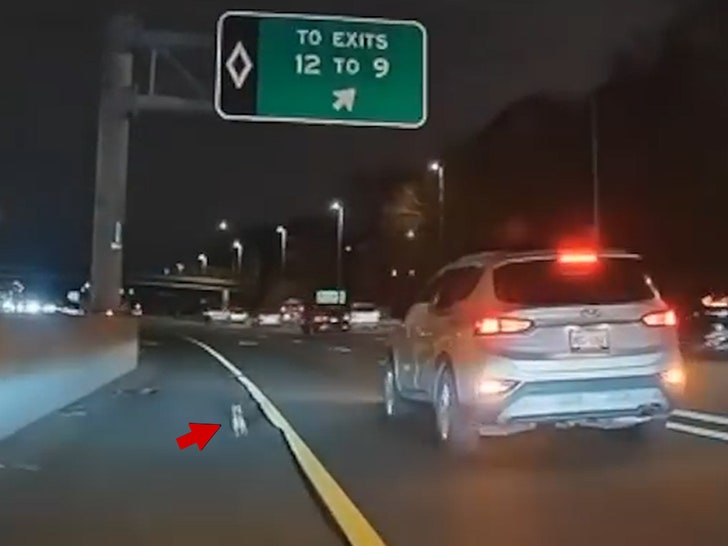 121123-runaway-dog-side-of-road-primary