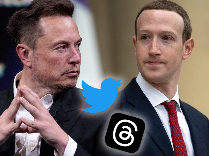 mark zuckerberg and elon musk