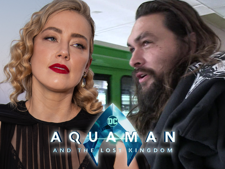 jason momoa and amber heard