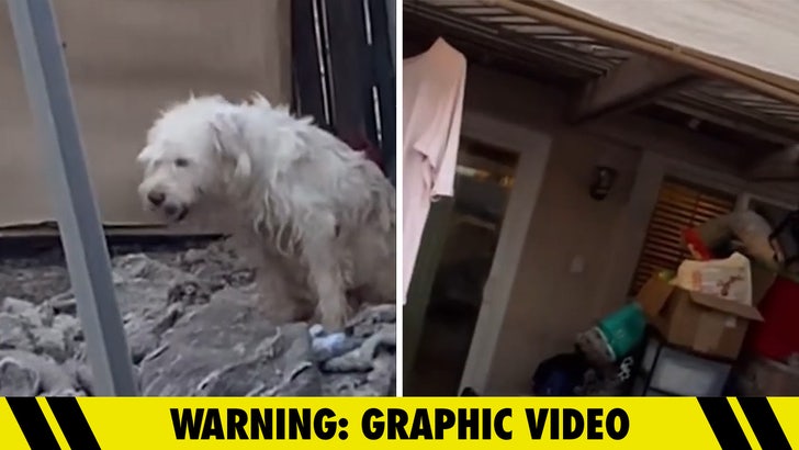 092323_arizona_dogs_kal