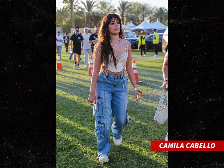 79fdbade898147e8a57febdc05dcd42b_md camila cabello
