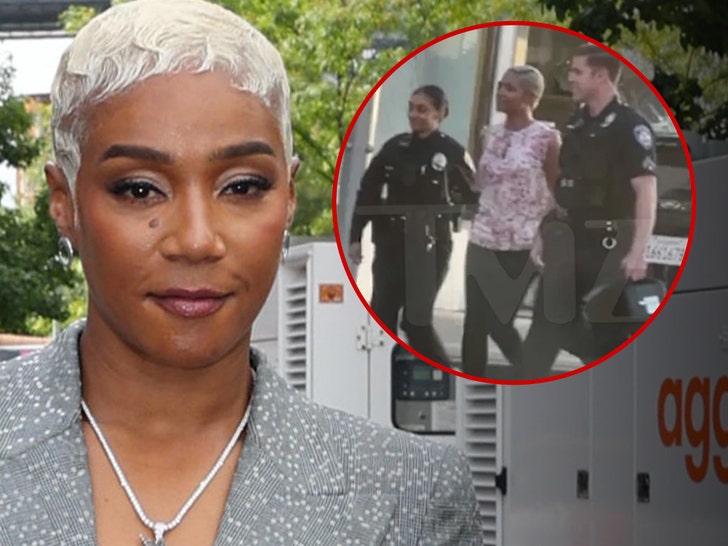 Tiffany Haddish dui tmz getty 2
