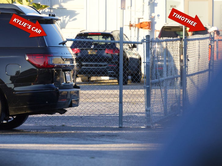 Kylie Jenner And Timothee Chalamet Grab Tacos Together