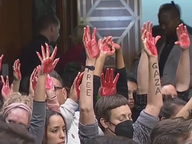 103123-congress-protesters-hands-primary-v1