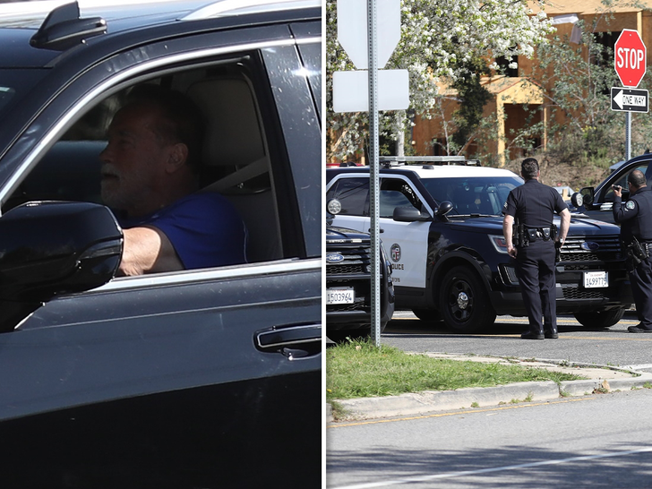 Arnold Schwarzenegger - crash scene