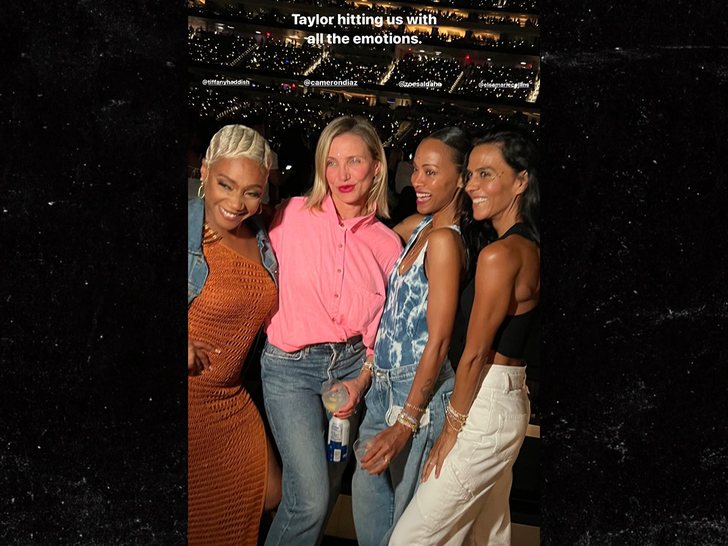 celebs taylor swift concert