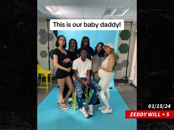 011824 lizzy ash music zeddy will_tik tok