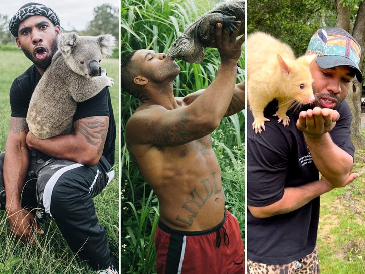 Mike Holston's Wild Photos