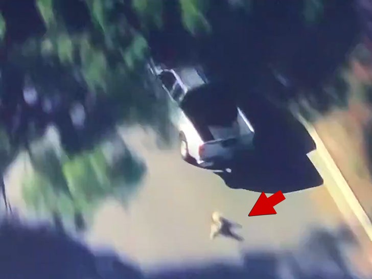 011124_car_chase_dog_arrow