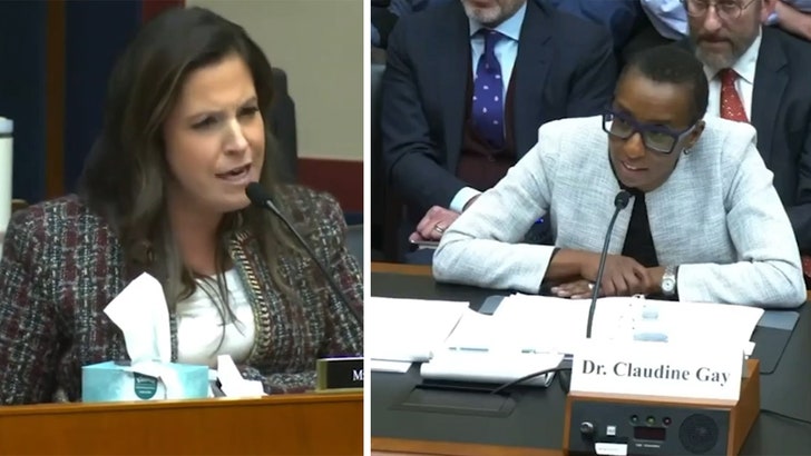 121223_claudine_gay_kal