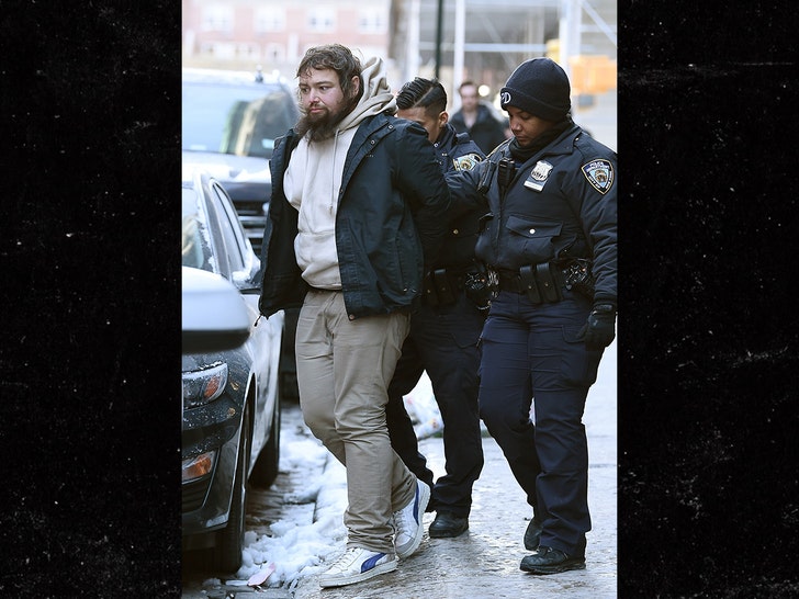 taylor swift stalker