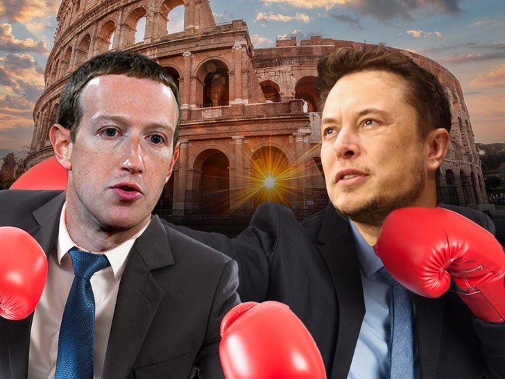 zuckerberg musk colosseum