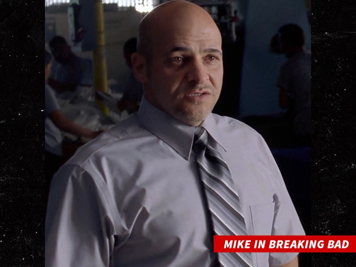 83aabcea8249492593693c6d131c9764_md Mike batayeh in Breaking Bad