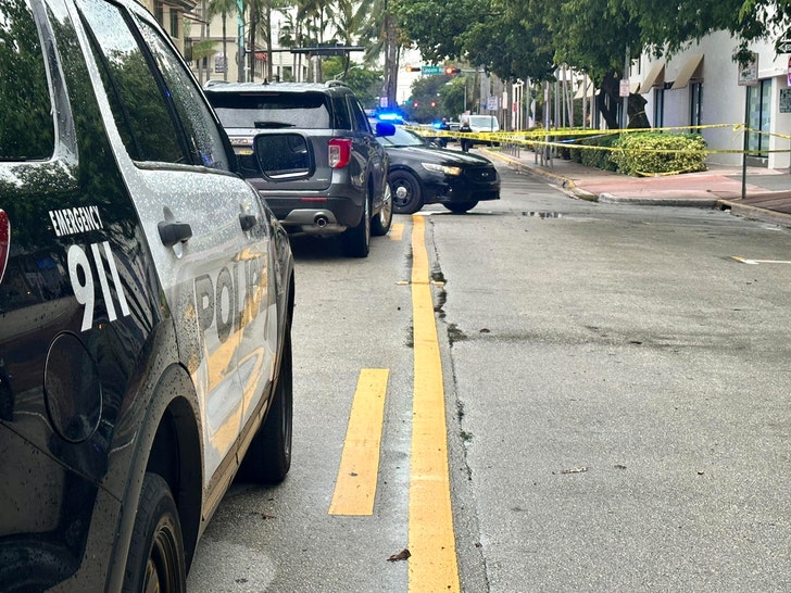 843257e78a5d46f6a7fb98fd83091106_md larsa pippen cops on scene facebook 2