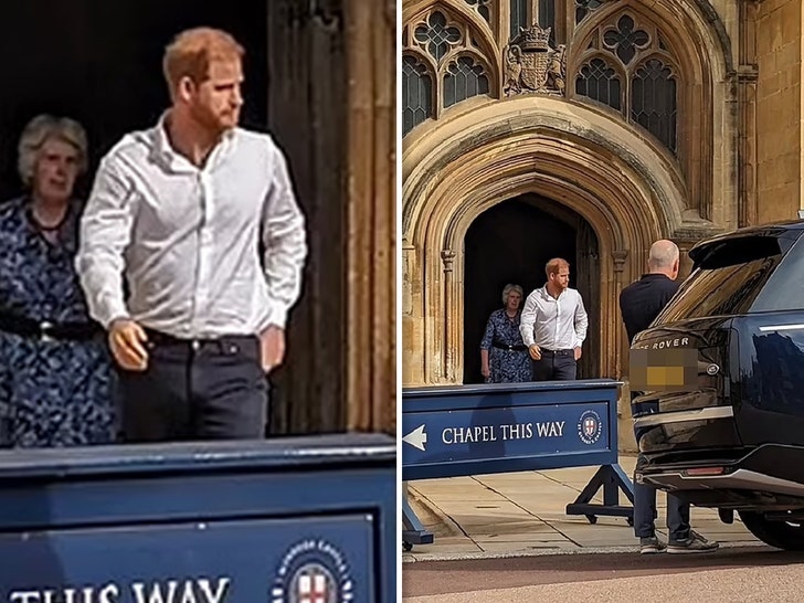 prince harry no credit 2