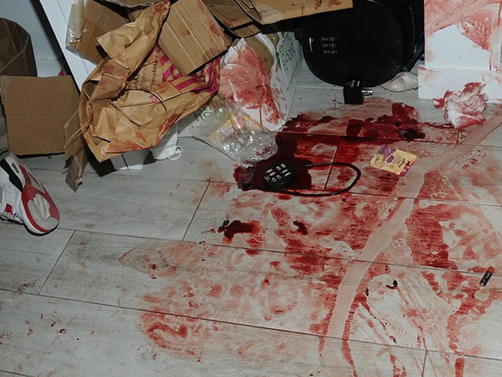 OnlyFans Star Courtney Clenney -- Crime Scene Photos