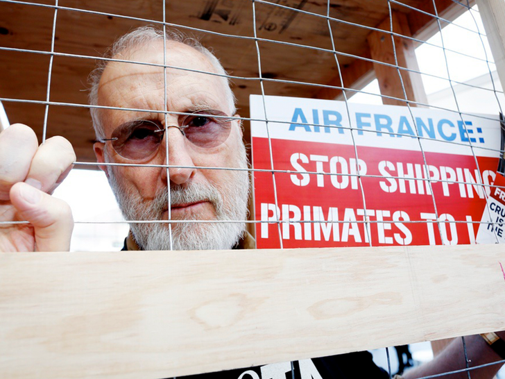 James Cromwell Protesting
