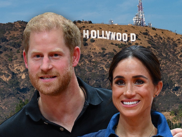 prince harry and meghan markle