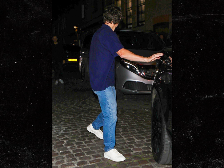 Tom Holland's driver leaves without him