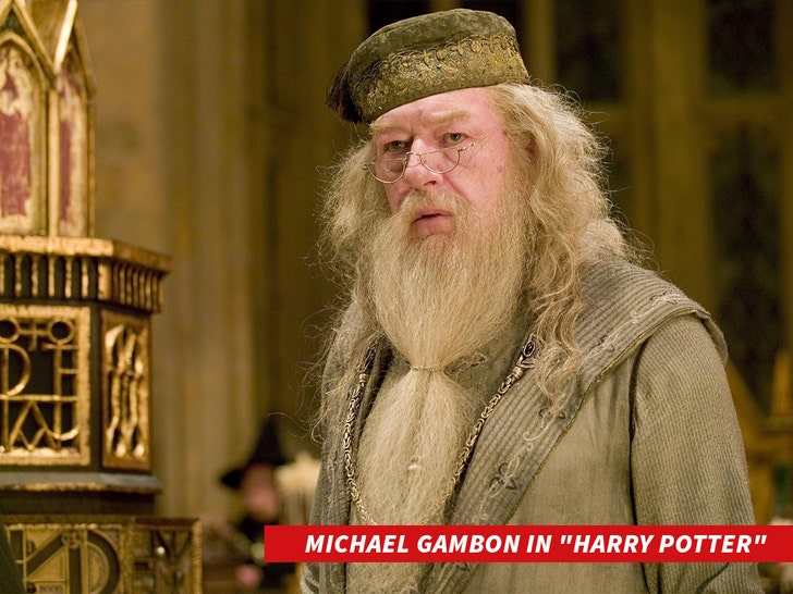 Michael Gambon harry potter alamy