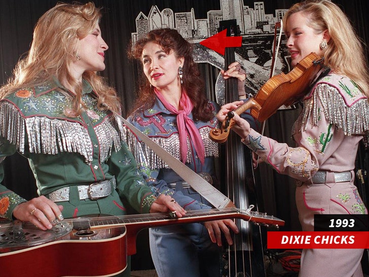 8ab5dad3796d439fbdac77979a2bca9a_md laura lynch dixie chicks