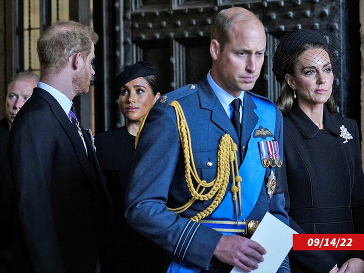 prince harry and prince william megan markle kate getty 1