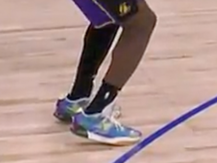 Lebron James controversial call